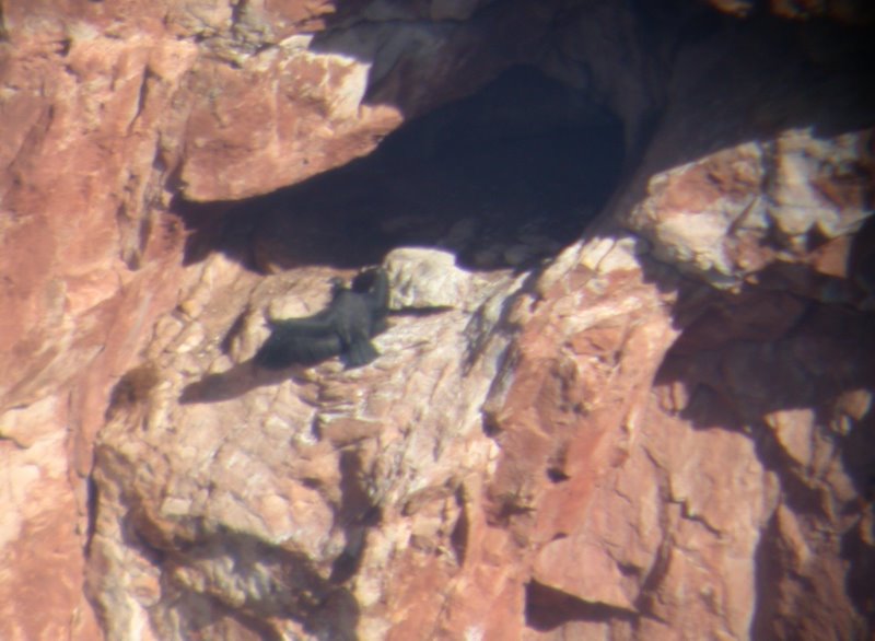 Waiting for 350 sunning