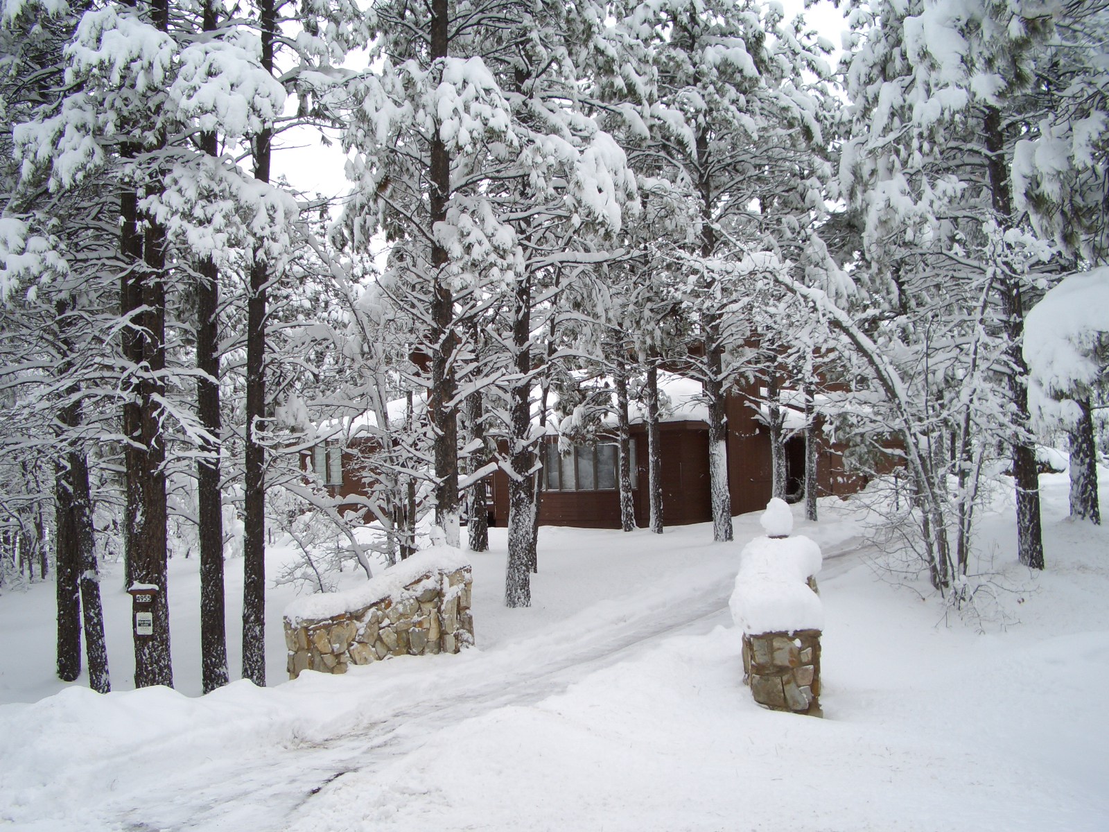 Waiting for Home near Flagstaff